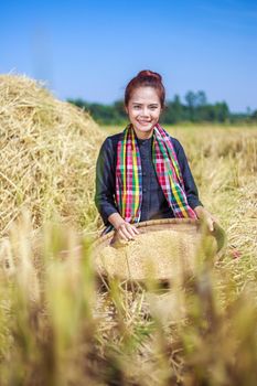 farmer woman threshed rice in field, Thailand