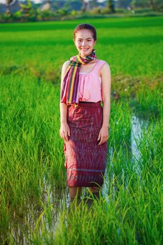 beautiful farmer woman in green rice filed, Thailand