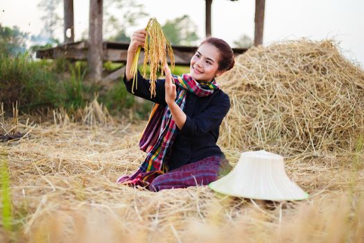 farmer woman holding a rice with the straw in field, Thailand