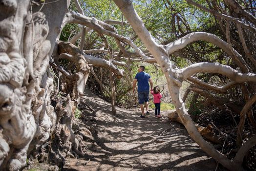 Father and little daughter walking on a path of in a wetland in Padul, Granada, Andalusia, Spain