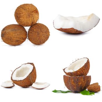 Collage of broken coconut pieces isolated on white background