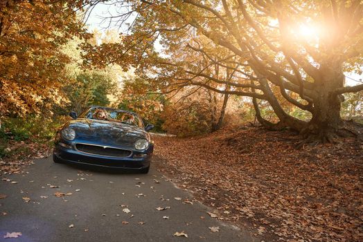 A black roofless car driving fast on the countryside asphalt road against morning sky with a beautiful sunrise. Autumn season, falling leaves