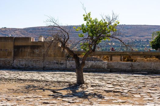 Knossos palace of the Minoan civilization and culture at Heraklion without people, Crete, Greece.