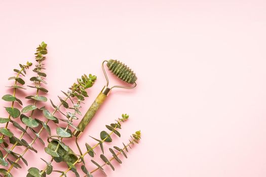 Green face roller from natural jade stone and eucalyptus branches on a pink background. SPA concept. Top view, copy space for text