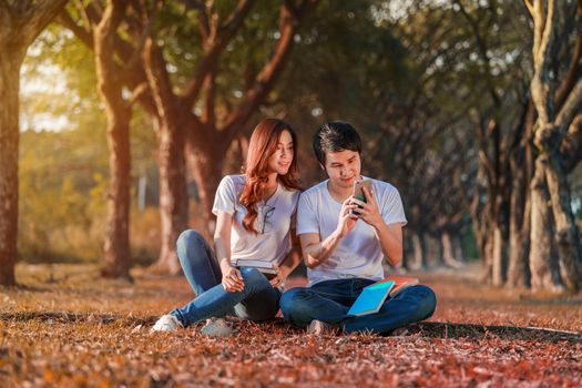 couple using mobile phone in the park