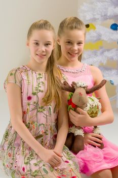 Portrait of Beautiful Girls Sitting Together on Ledge of the Wall, Two Adorable Twin Sisters Wearing Trendy Pink Dresses Posing in Studio Against White Background, One Girl Holding Deer Toy