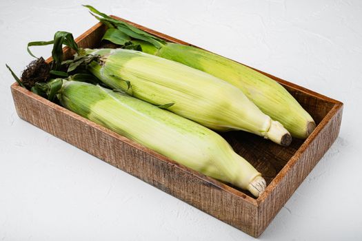 Ear of maize or corn set, on white stone table background
