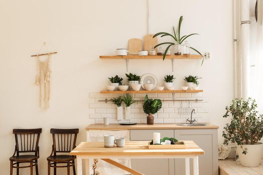 Stylish scandinavian open space with kitchen accessories and plants