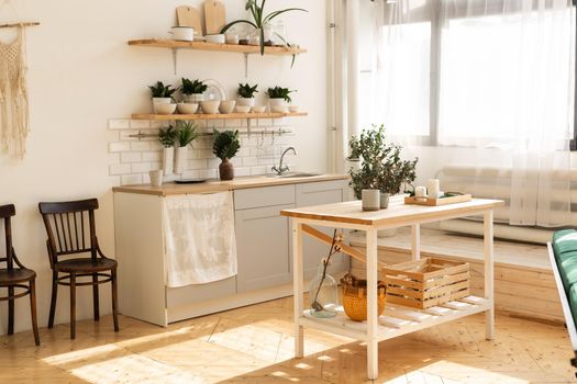 Stylish scandinavian open space with kitchen accessories and plants