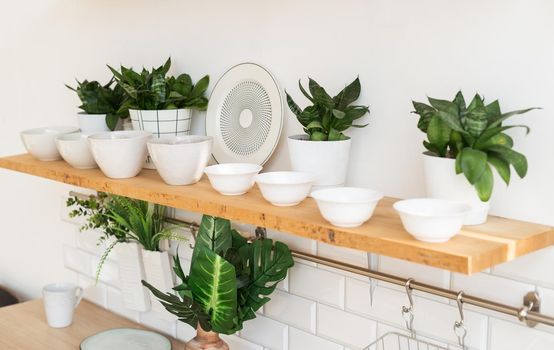 Home interior of a trendy, stylish, bright Scandinavian-style kitchen with open shelves. Loft interior.