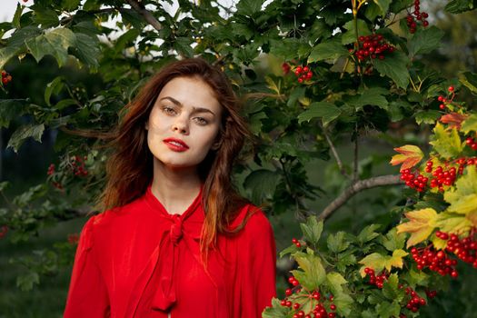 pretty woman in the summer outdoors near the bush. High quality photo