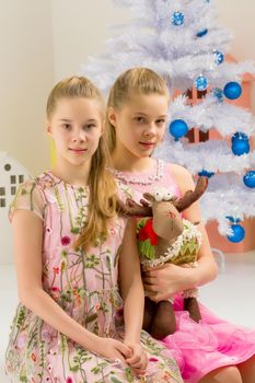 Portrait of Beautiful Girls Sitting Together on Ledge of the Wall, Two Adorable Twin Sisters Wearing Trendy Pink Dresses Posing in Studio Against White Background, One Girl Holding Deer Toy