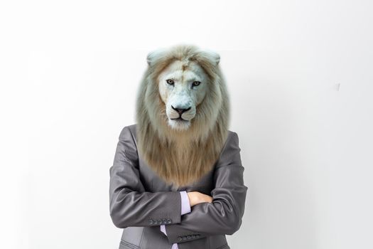 Businessman with head of lion on white background.