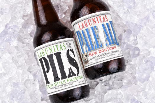 IRVINE, CALIFORNIA - AUGUST 26, 2016: Lagunitas Ale Bottles Ice. The Lagunitas Brewing Company was founded in 1993 in Lagunitas, California.