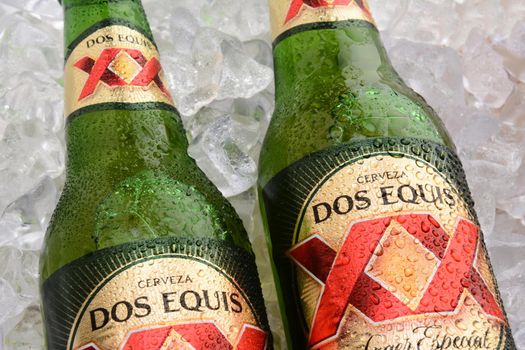 IRVINE, CA - MAY 25, 2014: Two Bottles of Dos Equis Lager Especial on a bed of ice. Founded in 1890 from the Cuauhtemoc-Moctezuma Brewery in Monterrey, Mexico a subsidary of Heineken International.