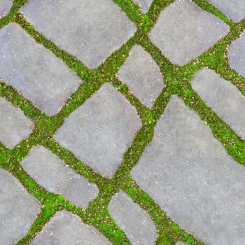 Seamless texture of green grass between the road tiles. The concept of harmonious fusion of the city and nature.
