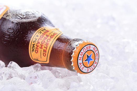 IRVINE, CA - AUGUST 26, 2016: A bottle of Newcastle Brown Ale. Launched in 1927 by Colonel Jim Porter after the merger of Newcastle Breweries with Scottish Brewers.