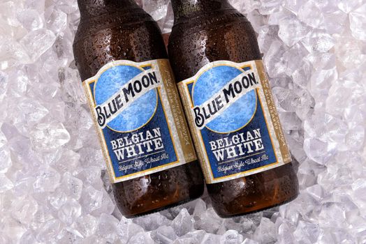 IRVINE, CALFORNIA - FEBRUARY 17, 2019: Blue Moon Belgian White Ale bottles on ice,  from Tenth and Blake Beer Company, the craft / import division of Chicago-based MillerCoors.