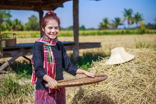 farmer woman threshed rice in field, Thailand