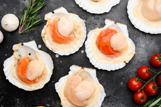 Seafood organic scallops set, on black dark stone table background, top view flat lay