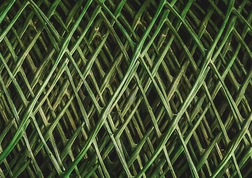 Texture of green plastic mesh in a roll close up for garden, protection and fencing.