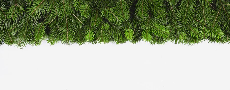 Christmas green frame of spruce tree isolated on white background