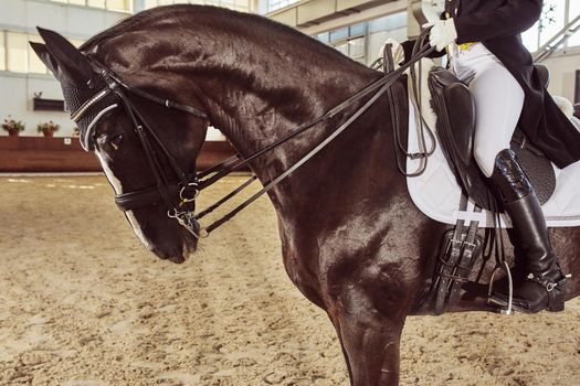 woman jockey with his horse in uniform for Dressage