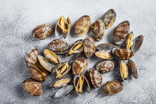 Fresh Steamed Clams on the kitchen table. White background. Top view.