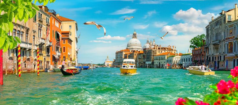 Summer cityscape of Venice with the view on basilica in Grand Canal