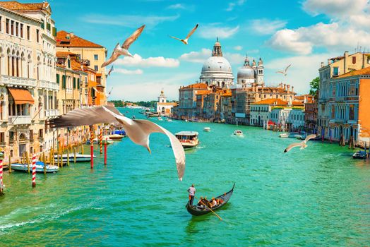 Grand Canal and Basilica Santa Maria della Salute, Venice, Italy