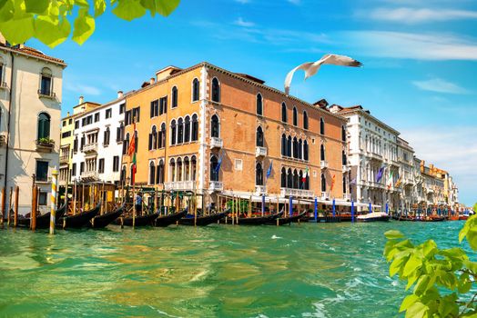 Canal in Venice between the old houses 