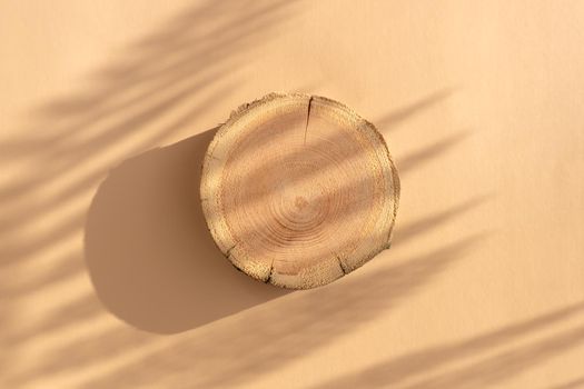 Woodcut lying on a trendy beige background with shadows of fern. A wooden platform with shades for natural cosmetics or products presentation. Wooden tray mockup in the sunlight. Top view