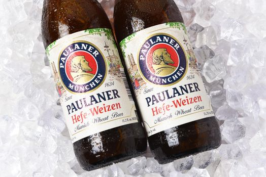 IRVINE, CALIFORNIA - 29 NOV 2020: Closeup of two bottles of Paulaner Hefe-Weizen wheat beer from Munich, Germany on a bed of ice with condensation.