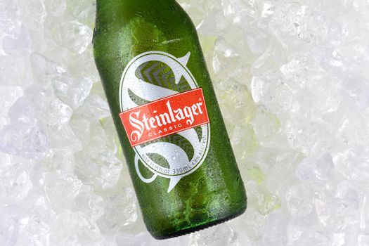 IRVINE, CA - JANUARY 11, 2015: A bottle of Steinlager Classic on a bed of ice. The lager style beer has been produced by Lion Nathan since 1957 in Newmarket, New Zealand.