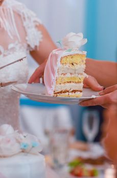 the bride passes a piece slice of the wedding cake in a plate to the guest. vertical photo.
