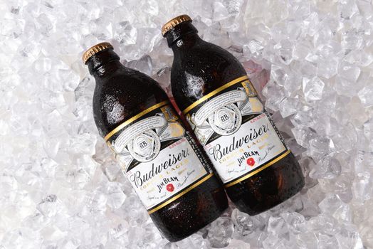 IRVINE, CALIFORNIA - OCTOBER 17, 2018: Two Bottles of Budweiser Copper Lager Reserve Collection on ice. The limited edition beer is aged on Jim Beam Bourbon Barrel Staves. 