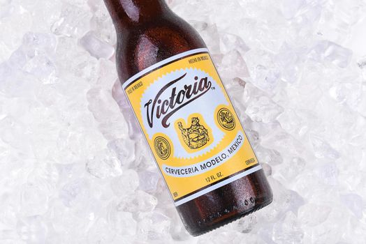 IRVINE, CA - AUGUST 26, 2016: A bottle of Victoria Beer on ice. Victoria is a Vienna Lager style beer brewed by Grupo Modelo S.A., Mexico.