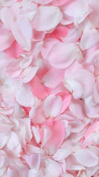 Pink rose petals. Perfect for background greeting cards and invitations of the wedding, birthday, Valentine's Day, Mother's Day