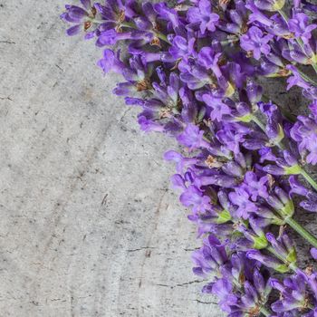 Lavender flowers on a gray rustic background of an old stump