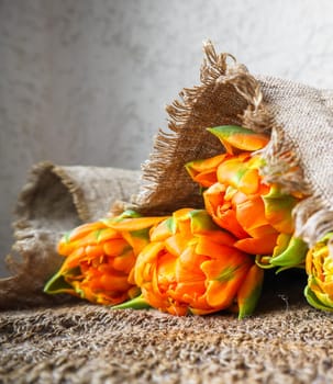 Beautiful orange tulips with a linen napkin