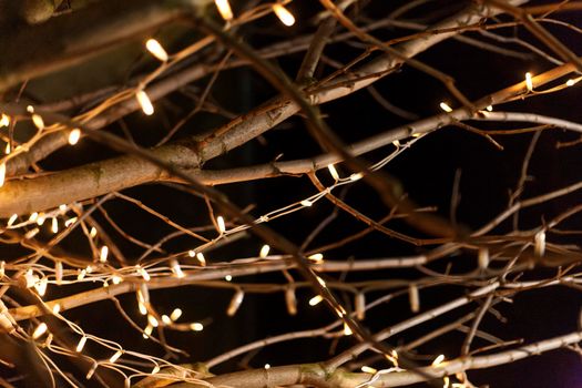 Christmas lights on tree branches. Christmas time. Christmas decoration on black background. Christmas atmosphere. An atmosphere of love, hope, peace, joy.