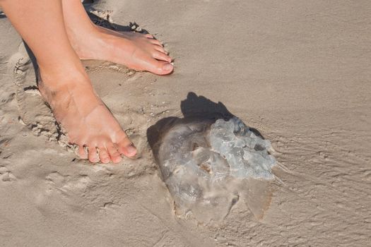 The girl's feet stand next to a jellyfish on the sand of the sea beach.