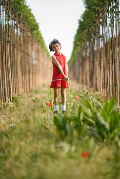 Little girl walking in nature field wearing beautiful red dress