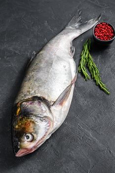 Raw whole fish silver carp. Black background. Top view.