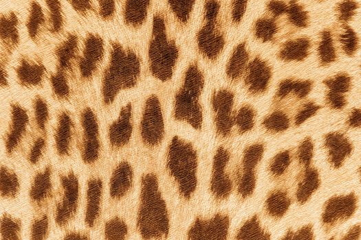 Wallpaper with abstract leopard pattern, seamless paper texture wild animals background.
