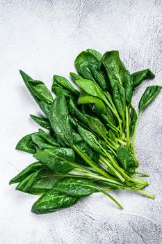 Raw fresh spinach leaves on a stone table. White background. Top view.