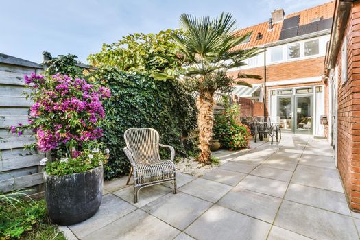 Courtyard with many flowers and greenery in a stylish home