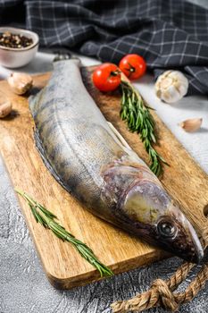 Zander, walleye with herbs. Raw fish. Gray background. Top view.