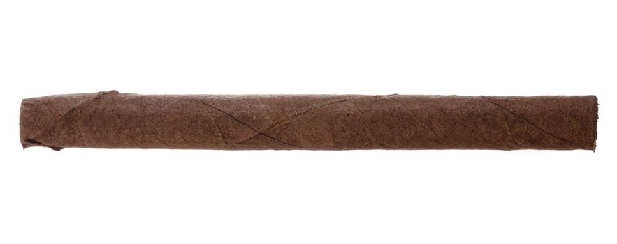One hand rolled cigar isolated on white background