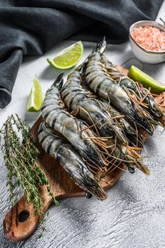 Fresh tiger shrimps, prawns with spices and herbs on a cutting board. Gray background. Top view.